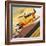 Three 'Hot Rod' Racers from Aerobatic Competitions-Wilf Hardy-Framed Giclee Print