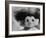 Three Inch Troll Doll Called "Dammit" Sold by Scandia House Enterprises-Ralph Morse-Framed Photographic Print