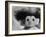 Three Inch Troll Doll Called "Dammit" Sold by Scandia House Enterprises-Ralph Morse-Framed Photographic Print