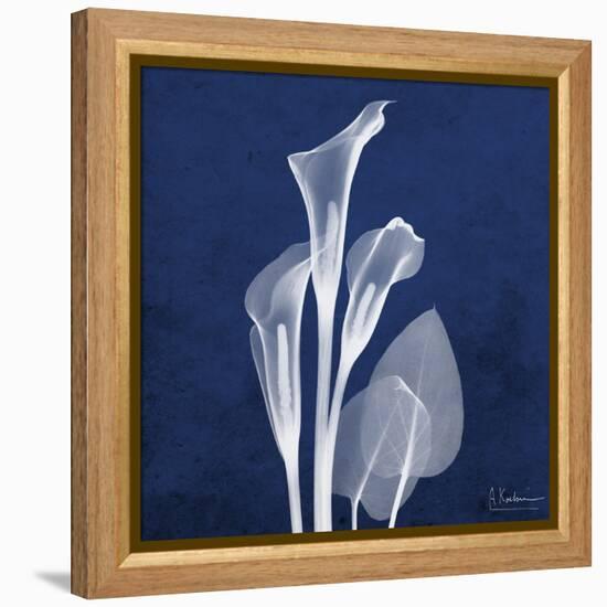 Three Indigo Calla Lilies-Albert Koetsier-Framed Stretched Canvas