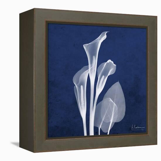 Three Indigo Calla Lilies-Albert Koetsier-Framed Stretched Canvas