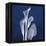 Three Indigo Calla Lilies-Albert Koetsier-Framed Stretched Canvas