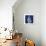 Three Indigo Calla Lilies-Albert Koetsier-Framed Stretched Canvas displayed on a wall