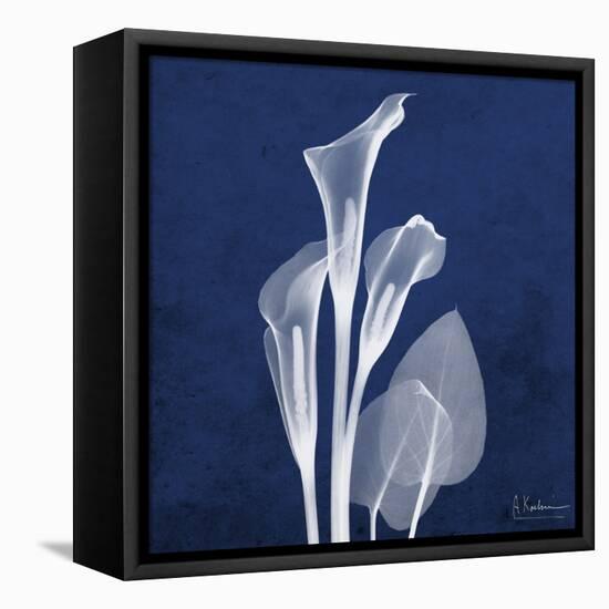 Three Indigo Calla Lilies-Albert Koetsier-Framed Stretched Canvas