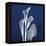 Three Indigo Calla Lilies-Albert Koetsier-Framed Stretched Canvas