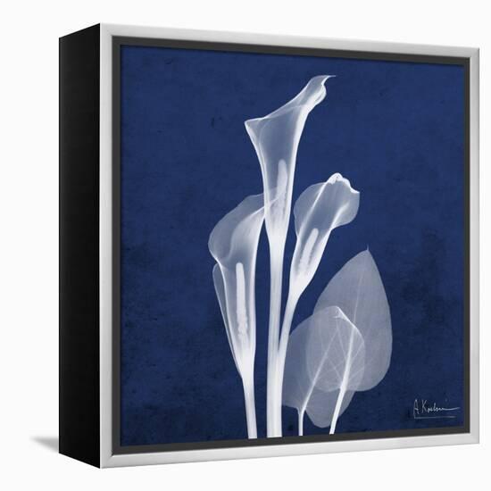 Three Indigo Calla Lilies-Albert Koetsier-Framed Stretched Canvas