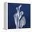 Three Indigo Calla Lilies-Albert Koetsier-Framed Stretched Canvas