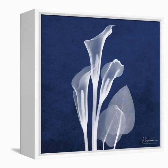 Three Indigo Calla Lilies-Albert Koetsier-Framed Stretched Canvas