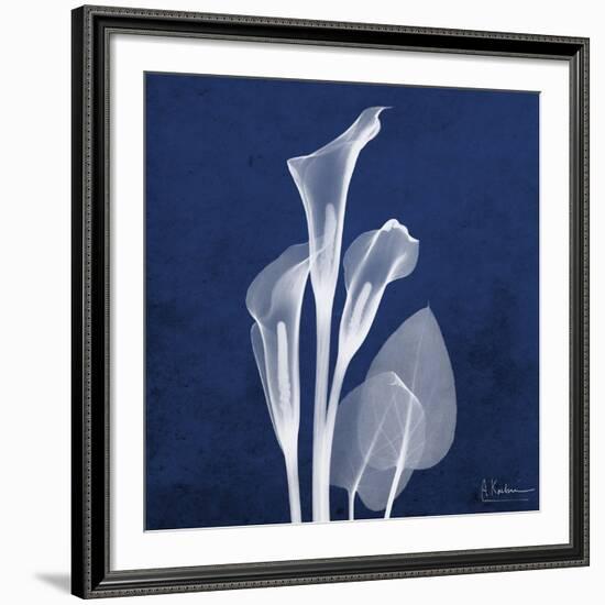 Three Indigo Calla Lilies-Albert Koetsier-Framed Premium Giclee Print