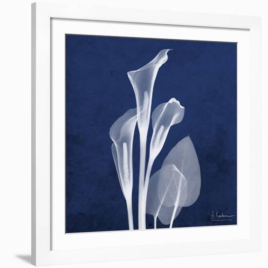 Three Indigo Calla Lilies-Albert Koetsier-Framed Premium Giclee Print