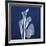 Three Indigo Calla Lilies-Albert Koetsier-Framed Premium Giclee Print