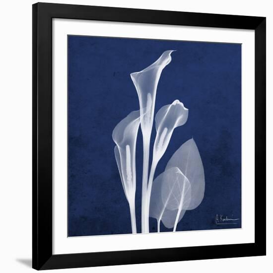 Three Indigo Calla Lilies-Albert Koetsier-Framed Premium Giclee Print