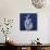 Three Indigo Calla Lilies-Albert Koetsier-Mounted Premium Giclee Print displayed on a wall