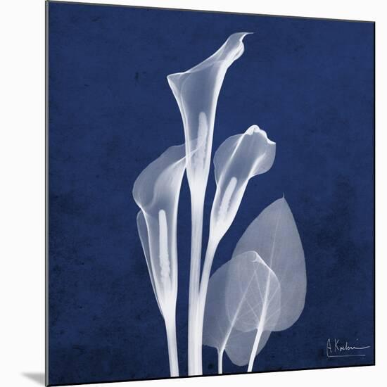 Three Indigo Calla Lilies-Albert Koetsier-Mounted Premium Giclee Print