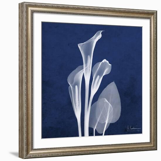 Three Indigo Calla Lilies-Albert Koetsier-Framed Premium Giclee Print