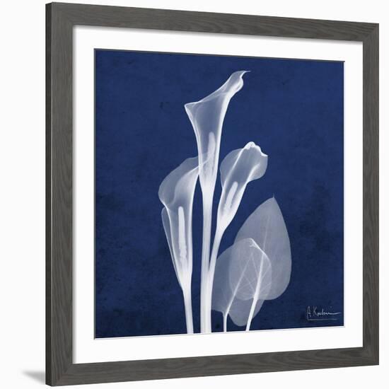 Three Indigo Calla Lilies-Albert Koetsier-Framed Premium Giclee Print