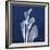 Three Indigo Calla Lilies-Albert Koetsier-Framed Premium Giclee Print