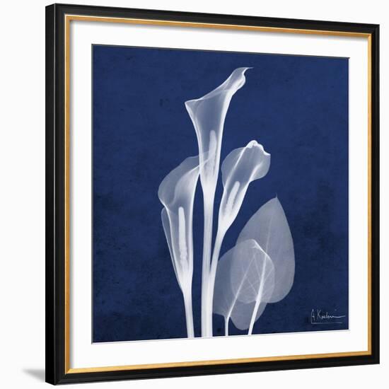 Three Indigo Calla Lilies-Albert Koetsier-Framed Premium Giclee Print