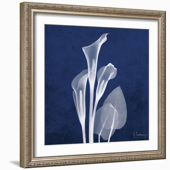 Three Indigo Calla Lilies-Albert Koetsier-Framed Premium Giclee Print