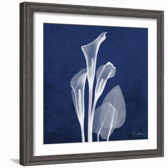 Three Indigo Calla Lilies-Albert Koetsier-Framed Premium Giclee Print