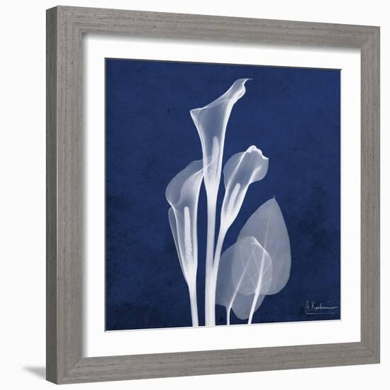 Three Indigo Calla Lilies-Albert Koetsier-Framed Premium Giclee Print