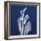 Three Indigo Calla Lilies-Albert Koetsier-Framed Premium Giclee Print