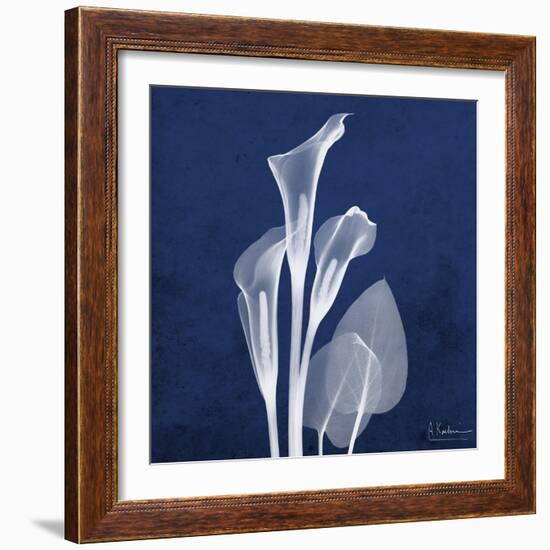 Three Indigo Calla Lilies-Albert Koetsier-Framed Premium Giclee Print