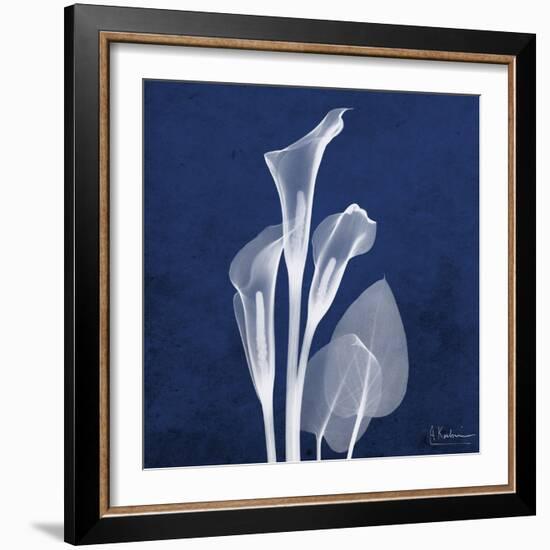 Three Indigo Calla Lilies-Albert Koetsier-Framed Premium Giclee Print