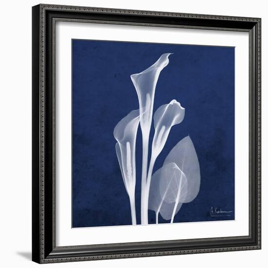 Three Indigo Calla Lilies-Albert Koetsier-Framed Premium Giclee Print