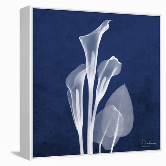 Three Indigo Calla Lilies-Albert Koetsier-Framed Stretched Canvas