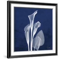 Three Indigo Calla Lilies-Albert Koetsier-Framed Giclee Print
