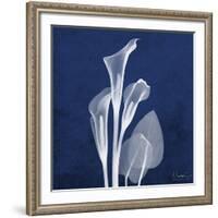 Three Indigo Calla Lilies-Albert Koetsier-Framed Giclee Print