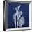 Three Indigo Calla Lilies-Albert Koetsier-Framed Giclee Print