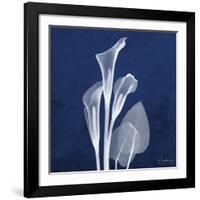 Three Indigo Calla Lilies-Albert Koetsier-Framed Giclee Print