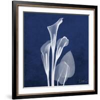 Three Indigo Calla Lilies-Albert Koetsier-Framed Giclee Print