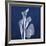 Three Indigo Calla Lilies-Albert Koetsier-Framed Giclee Print