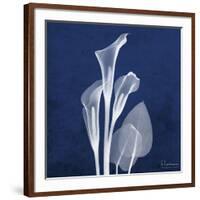 Three Indigo Calla Lilies-Albert Koetsier-Framed Giclee Print