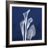 Three Indigo Calla Lilies-Albert Koetsier-Framed Giclee Print