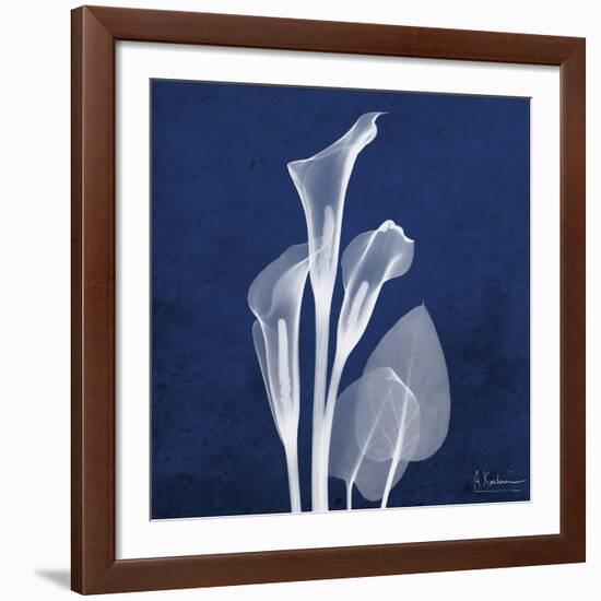 Three Indigo Calla Lilies-Albert Koetsier-Framed Giclee Print