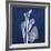 Three Indigo Calla Lilies-Albert Koetsier-Framed Giclee Print