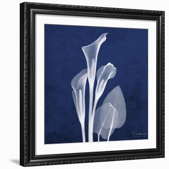 Three Indigo Calla Lilies-Albert Koetsier-Framed Giclee Print