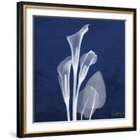 Three Indigo Calla Lilies-Albert Koetsier-Framed Giclee Print