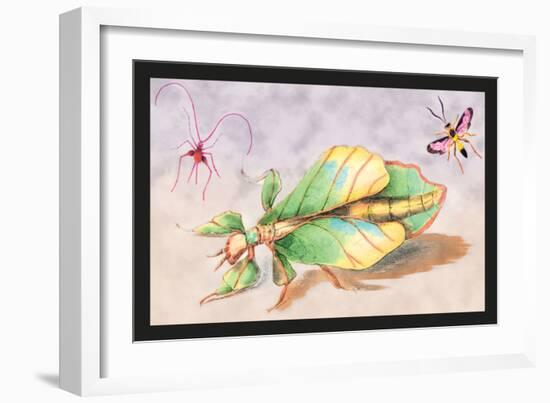 Three Insect Examples-James Duncan-Framed Art Print