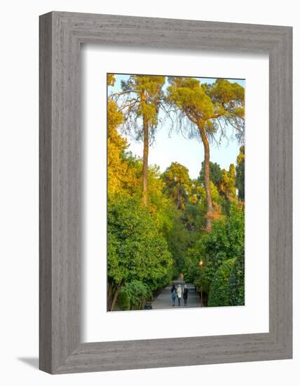 Three Iranian women walking through the Bagh-e Eram (Garden of Paradise), Shiraz, Iran, Middle East-James Strachan-Framed Photographic Print