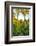 Three Iranian women walking through the Bagh-e Eram (Garden of Paradise), Shiraz, Iran, Middle East-James Strachan-Framed Photographic Print