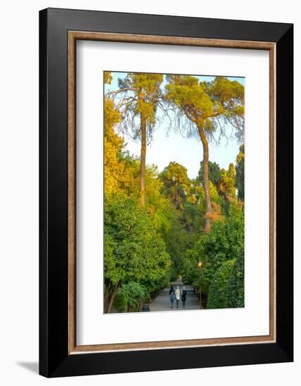 Three Iranian women walking through the Bagh-e Eram (Garden of Paradise), Shiraz, Iran, Middle East-James Strachan-Framed Photographic Print