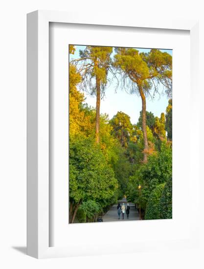 Three Iranian women walking through the Bagh-e Eram (Garden of Paradise), Shiraz, Iran, Middle East-James Strachan-Framed Photographic Print