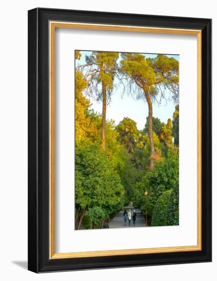 Three Iranian women walking through the Bagh-e Eram (Garden of Paradise), Shiraz, Iran, Middle East-James Strachan-Framed Photographic Print