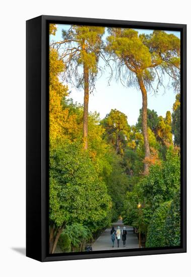 Three Iranian women walking through the Bagh-e Eram (Garden of Paradise), Shiraz, Iran, Middle East-James Strachan-Framed Premier Image Canvas