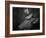 Three Is a Crowd!-Ali Khataw-Framed Photographic Print